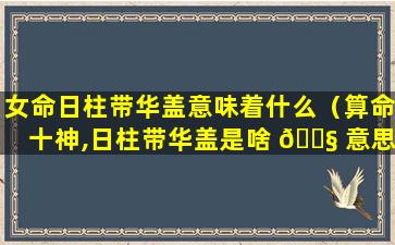 女命日柱带华盖意味着什么（算命十神,日柱带华盖是啥 🐧 意思）